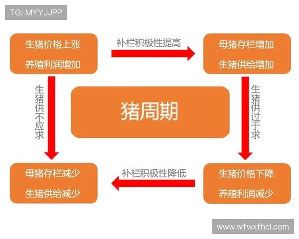 河南队全力冲击新赛季展望球队未来发展与核心竞争力解析