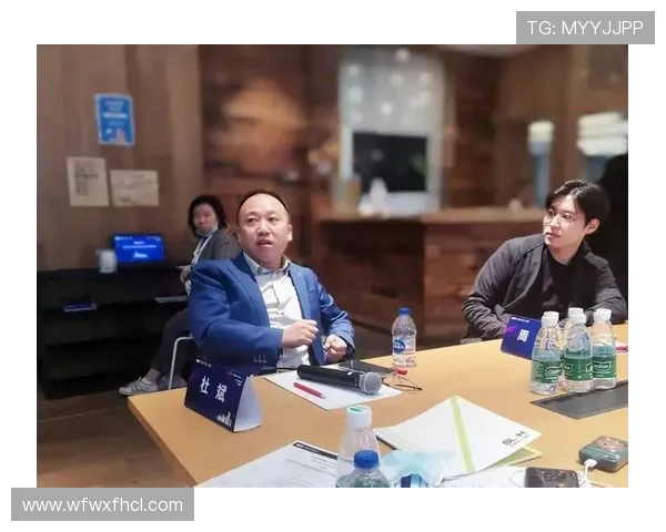 北京飞盘队运营策略深度分析与发展前景探讨