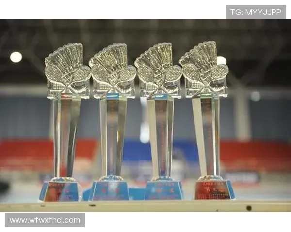 武汉羽毛球队的拼搏之路与大满贯荣耀的追寻