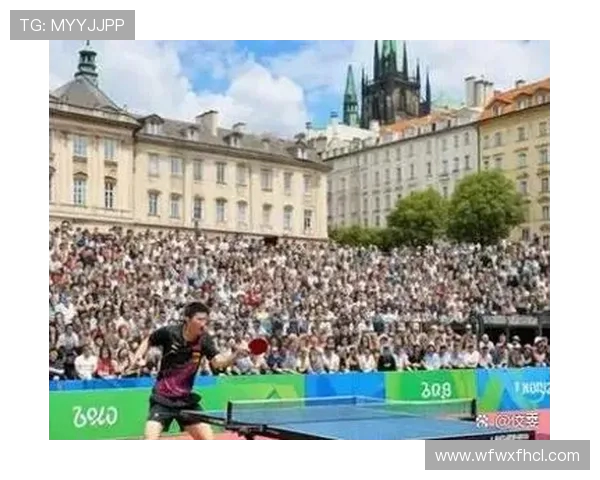 乒乓球运动的魅力与发展历程:从技术革新到国际化的全面解析 乒乓球运动的魅力与发展历程:从技术革新到国际化的全面解析